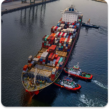 Explore Your Options